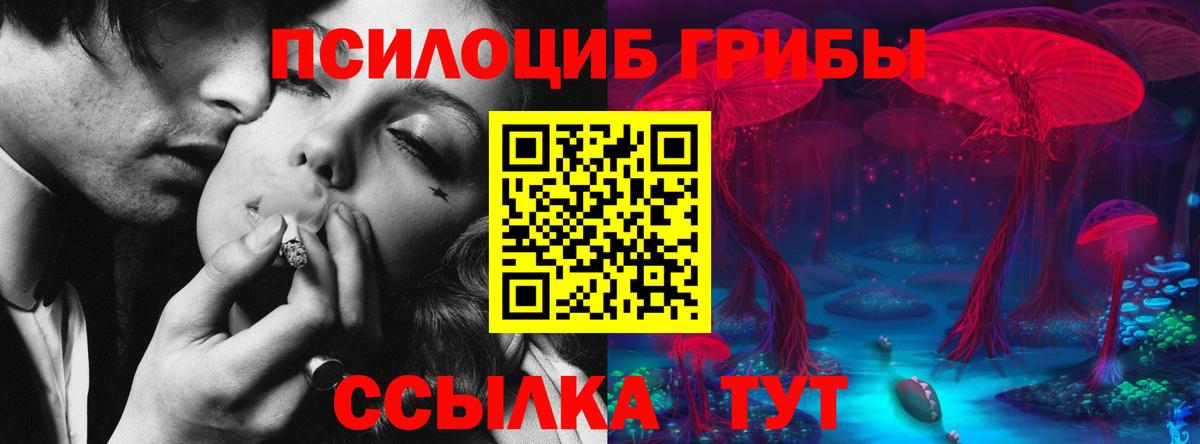 закладки  Галлюциногенные грибы прущие грибы  Вход с VPN  Озёрск 
